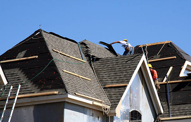 Best Roof Gutter Cleaning  in Vernon, WI