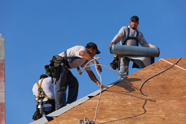 Best Emergency Roof Repair  in Vernon, WI