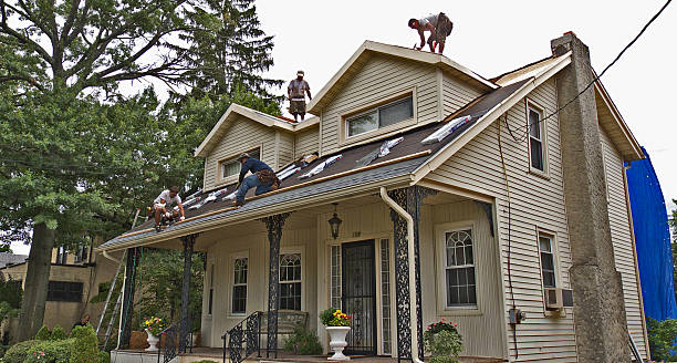 Best Metal Roofing Contractor  in Vernon, WI