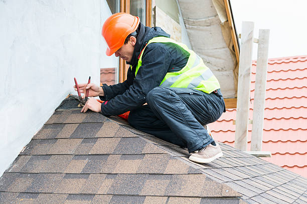 Best Local Roofing Companies  in Vernon, WI