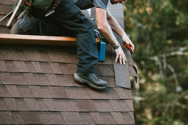 Best New Roof Installation  in Vernon, WI