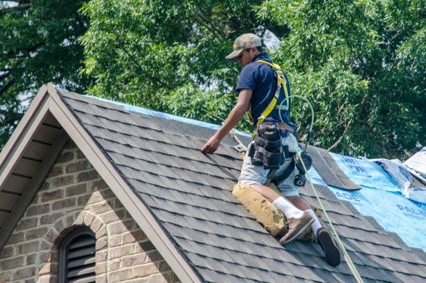 Best Shingle Roofing Installation  in Vernon, WI